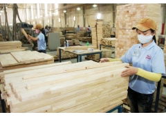 Doanh nghiệp ngành gỗ bàn cách tối ưu lợi thế